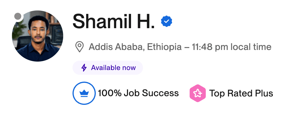 Upwork profile - 100% Job Success, Top Rated Plus